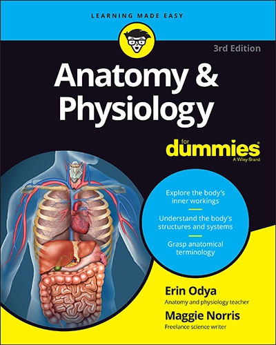 Anatomy And Physiology For Dummies 3rd Edition