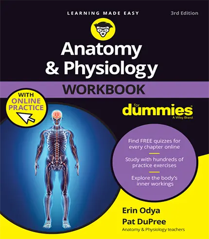 Anatomy And Physiology Workbook For Dummies 3rd Edition