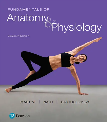 Fundamentals of Anatomy and Physiology 11th Edition PDF