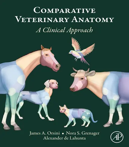 Comparative Veterinary Anatomy: A Clinical Approach 1st edition